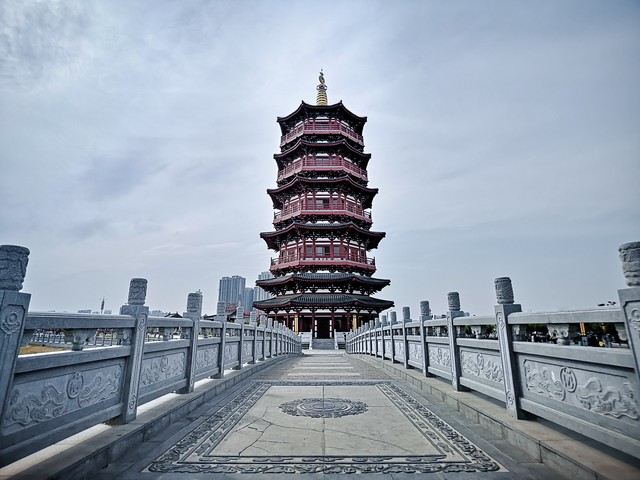 野茶直播截图预览3